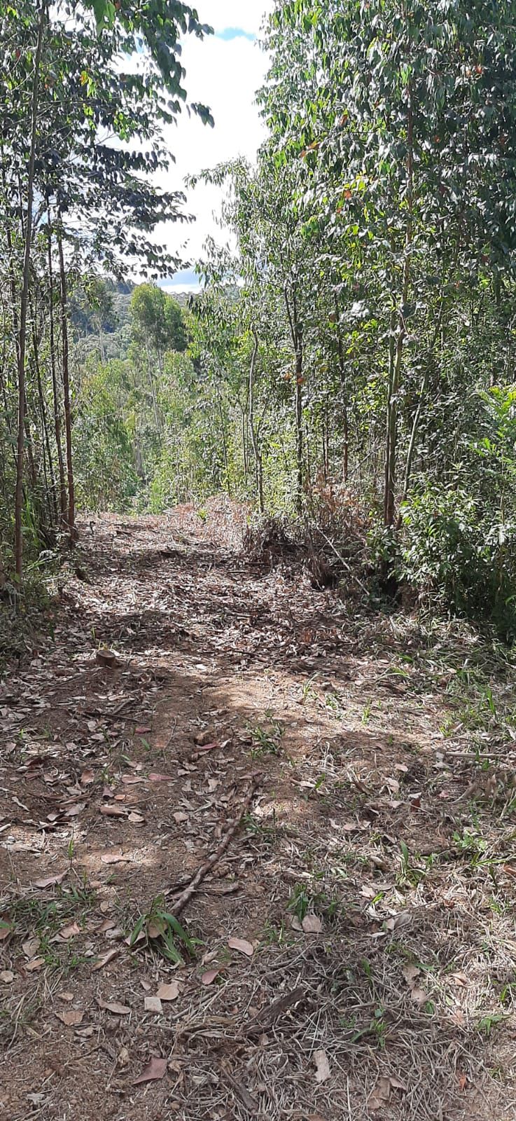 Chácara em Bocaiuva - Chacara Barra das Cruzes