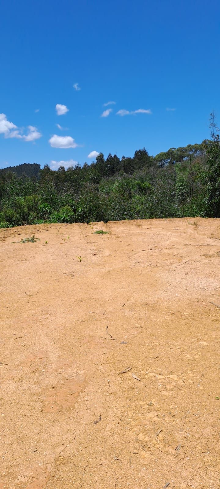 Chácara em Bocaiuva - Chacara Sao Jose 